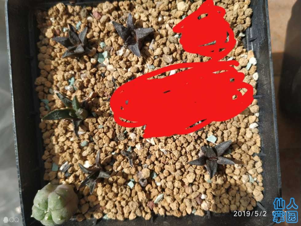 IMG20190504143032.jpg
