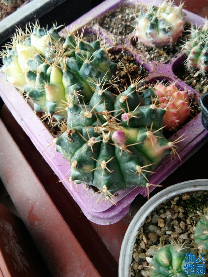 QQͼƬ20190521141340.jpg