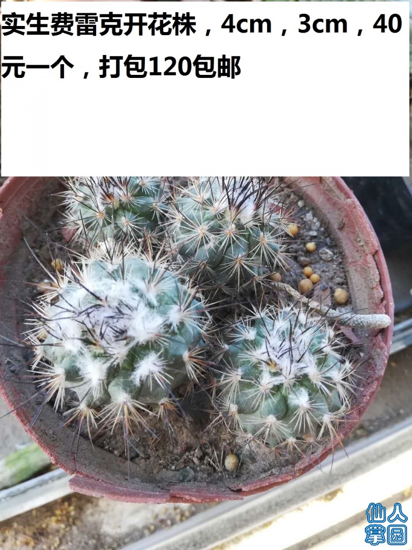 ׿.jpg
