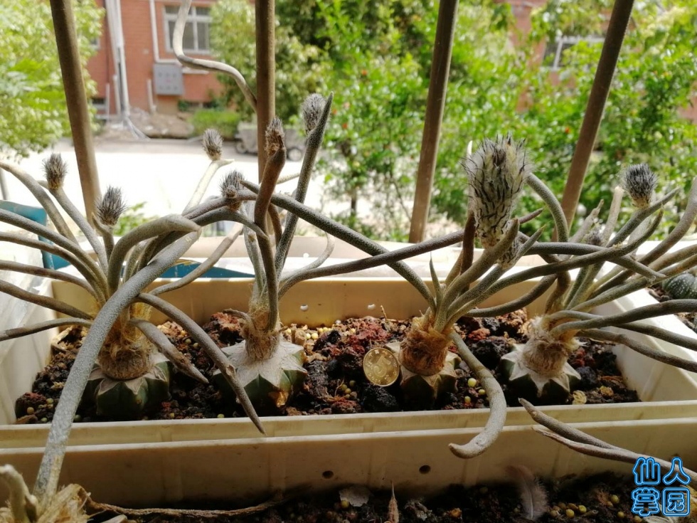 ΢ͼƬ_20190604150751.jpg