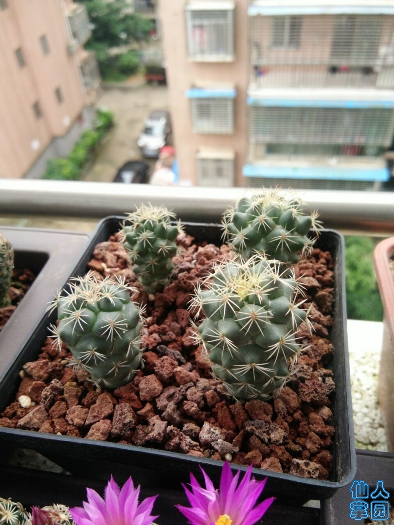 QQͼƬ20190521141307.jpg