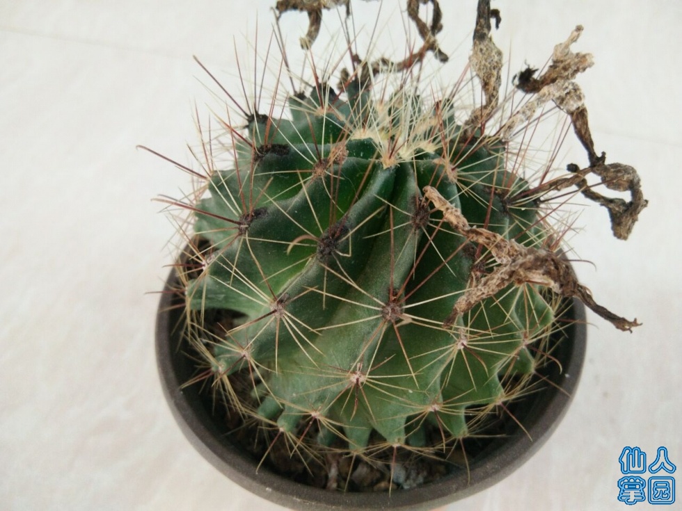 QQͼƬ20190604202237.jpg