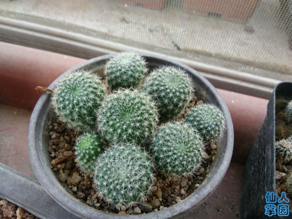 QQͼƬ20190604202255.jpg