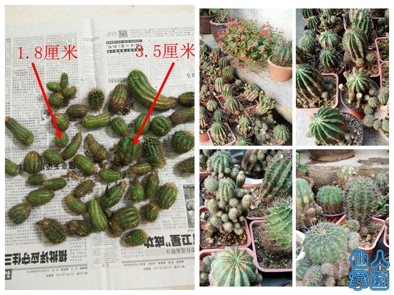 QQͼƬ20190604202327__.jpg