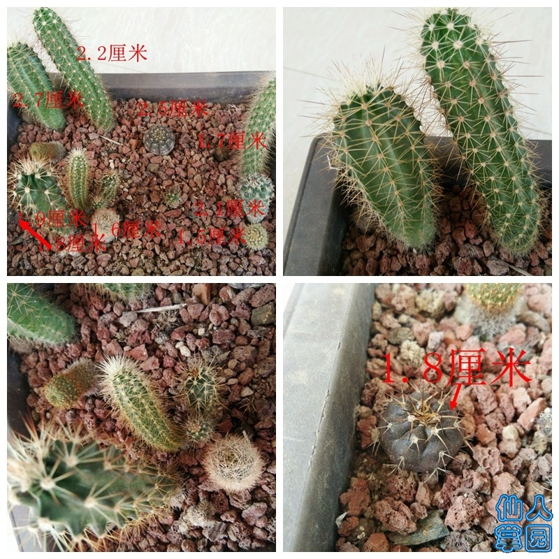 QQͼƬ20190604210935__.jpg