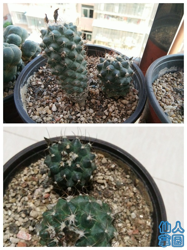 QQͼƬ20190604210935___.jpg