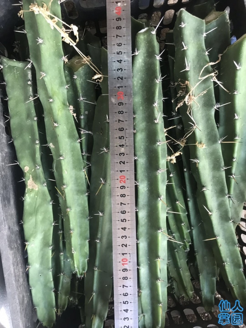 ΢ͼƬ_20190613152459.jpg