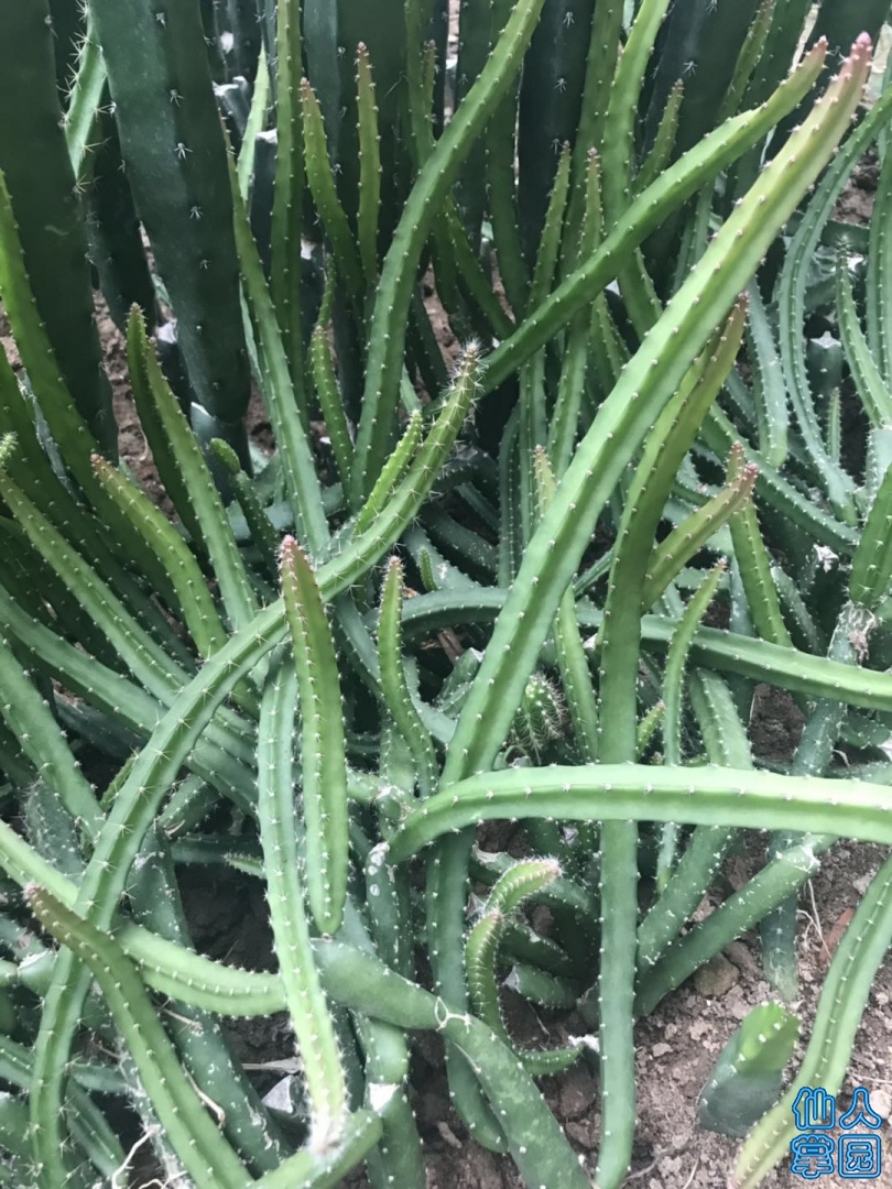 ΢ͼƬ_20190613201321.jpg