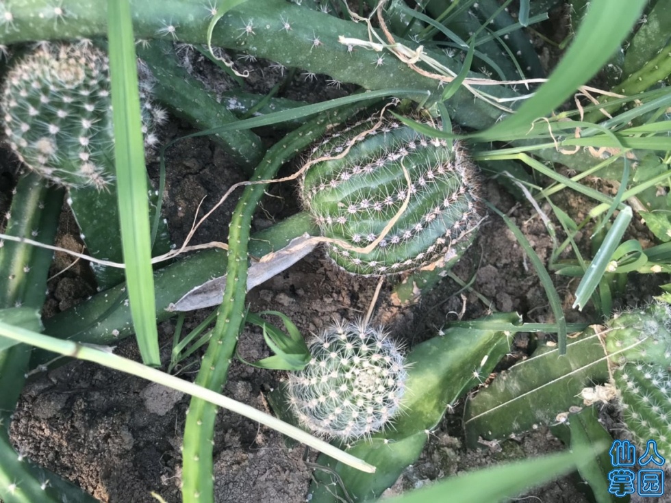 ΢ͼƬ_20190613203447.jpg