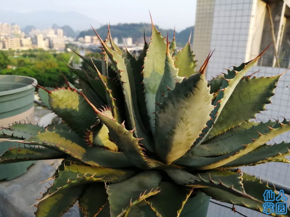 ΢ͼƬ_20190615081643.jpg