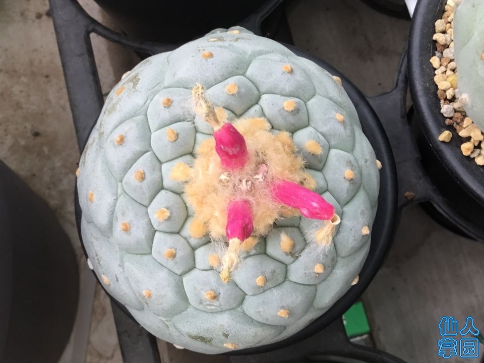 TIMͼƬ20190526155242.jpg