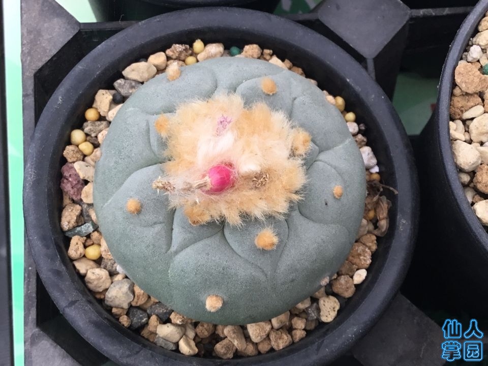 TIMͼƬ20190606143503.jpg