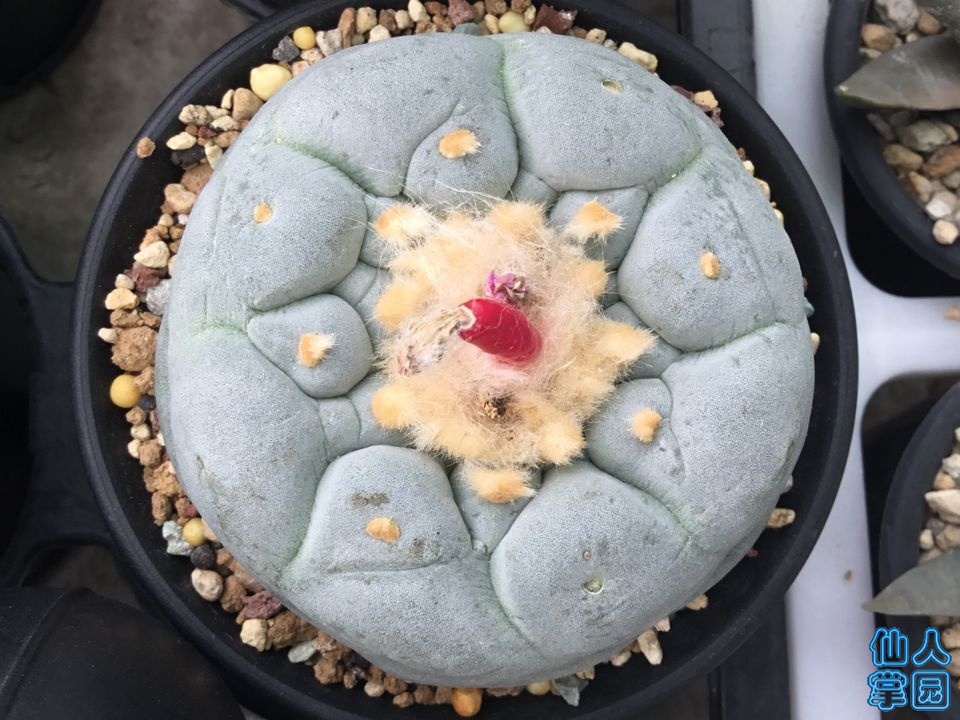 TIMͼƬ20190606143538.jpg