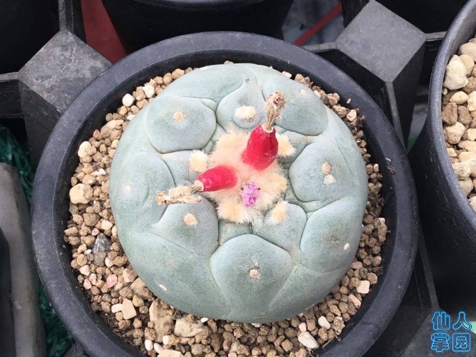 TIMͼƬ20190606143509.jpg
