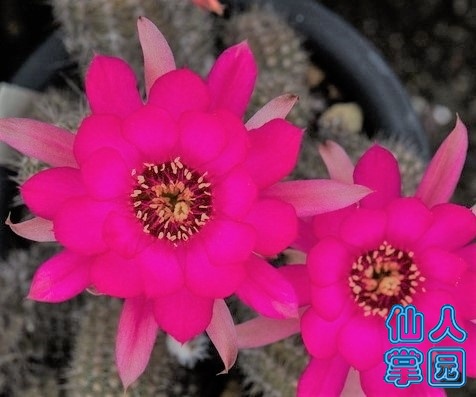 20150506214406_3.jpg