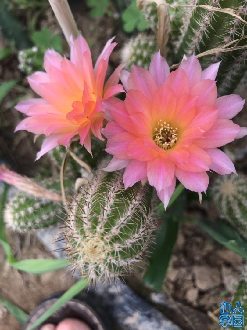 ΢ͼƬ_20190613152548.jpg