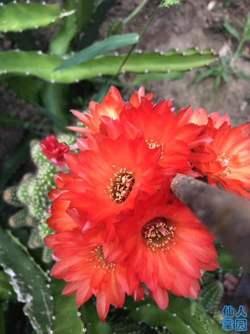 ΢ͼƬ_20190613152545.jpg