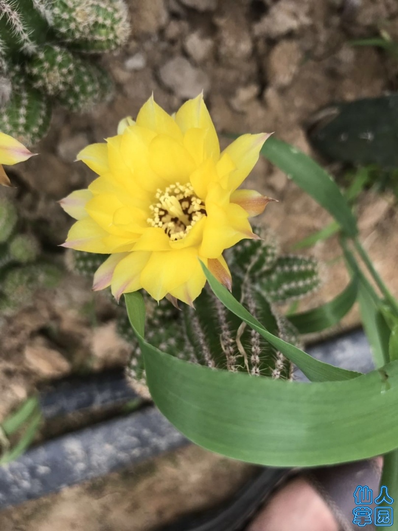 ΢ͼƬ_20190613152638.jpg