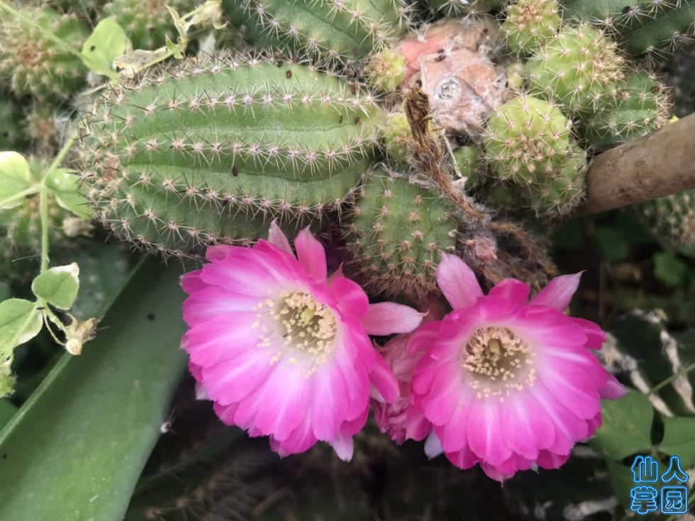 ΢ͼƬ_20190613152723.jpg