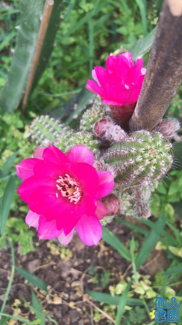 ΢ͼƬ_20190615011247.jpg