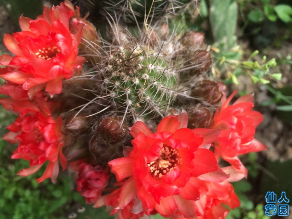 ΢ͼƬ_20190616153933.jpg