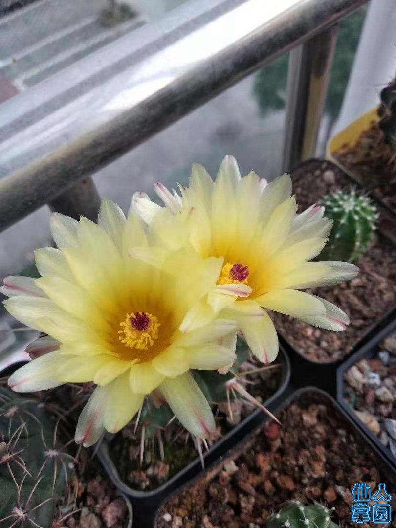 ΢ͼƬ_20190705081924.jpg