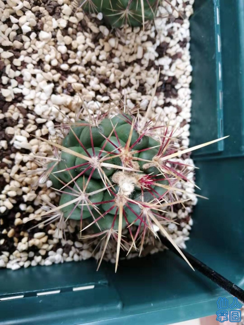 ΢ͼƬ_20190708130723.jpg