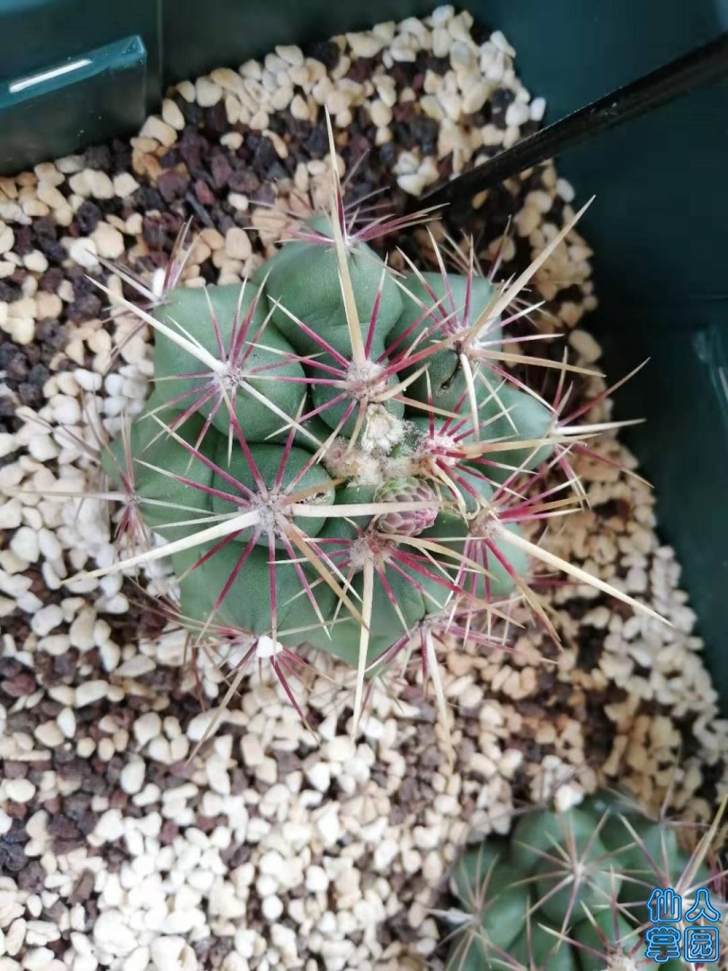 ΢ͼƬ_20190708130726.jpg