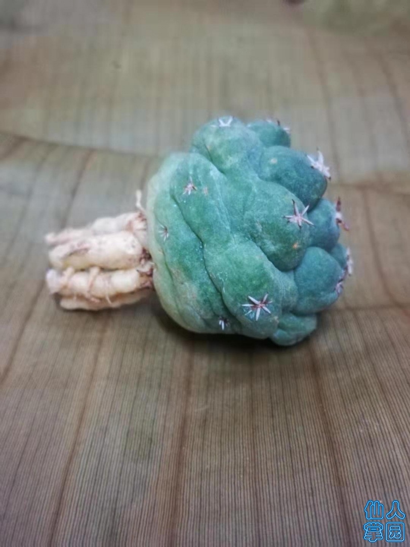 ΢ͼƬ_20190720110430.jpg