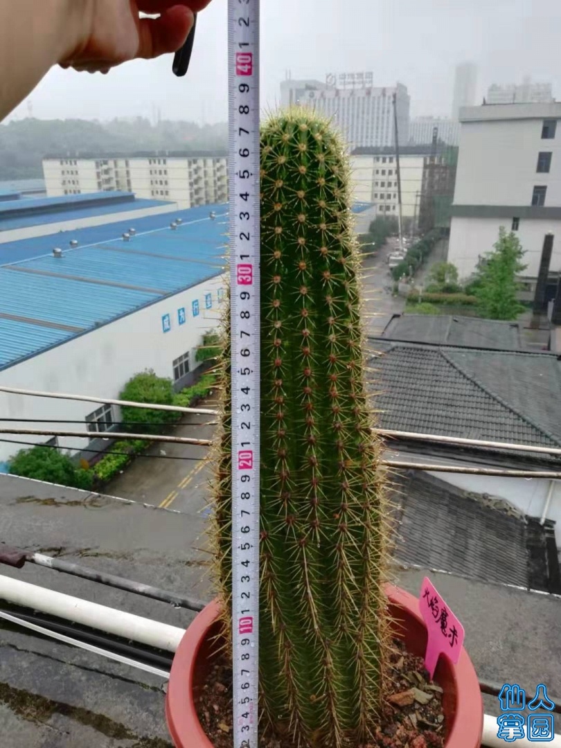 ΢ͼƬ_20190720110504.jpg