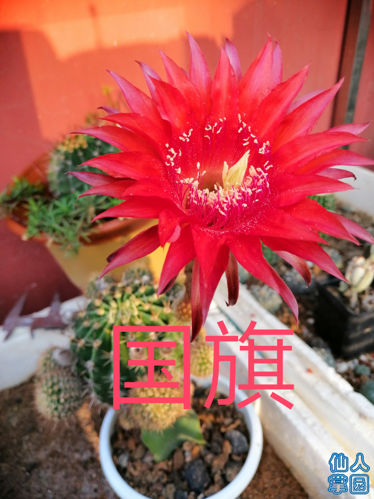 1560838242855.png