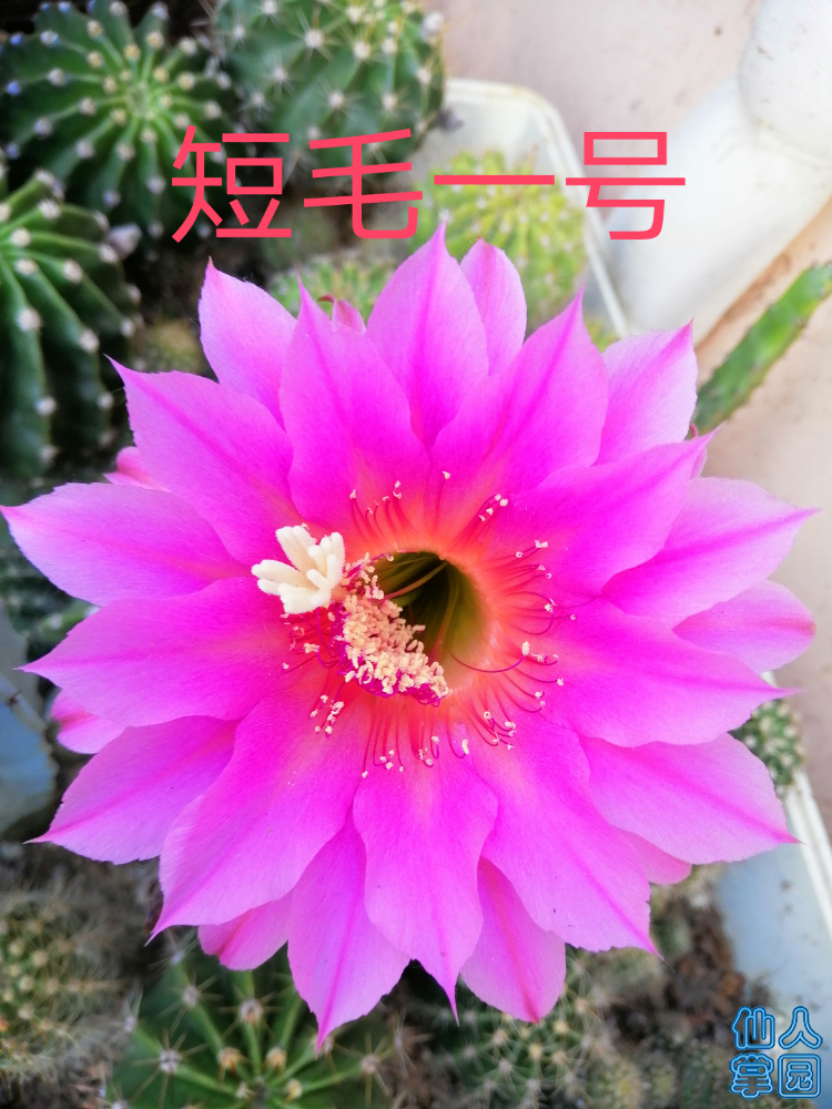 1558391981479.png