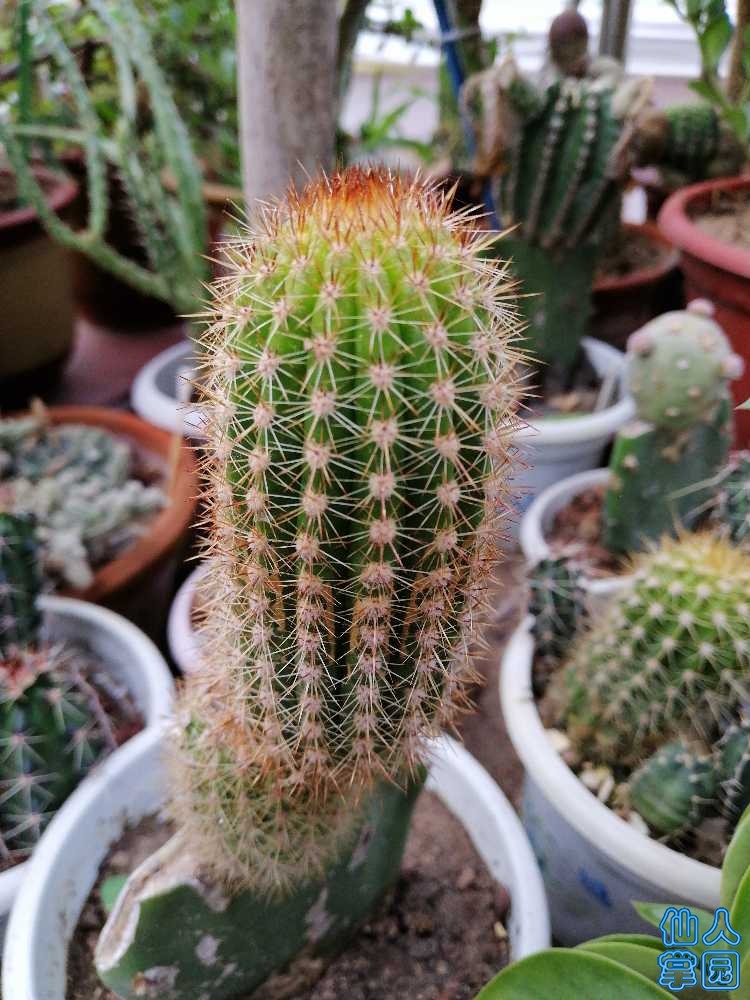 2019-07-23_06.01.57.jpg