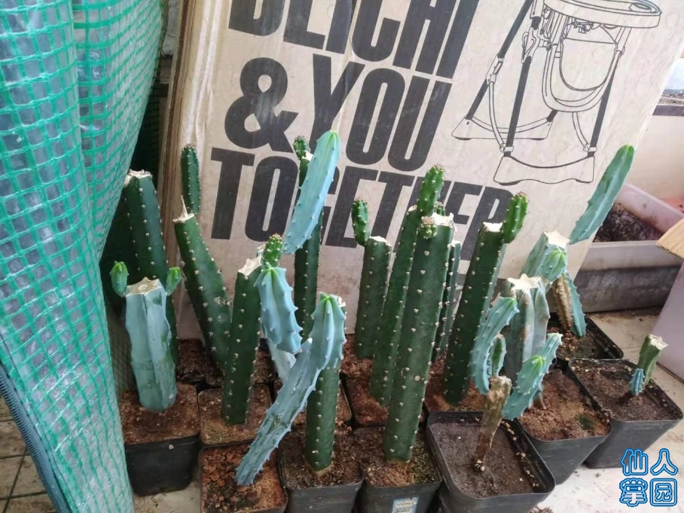 ΢ͼƬ_20190725202430.jpg