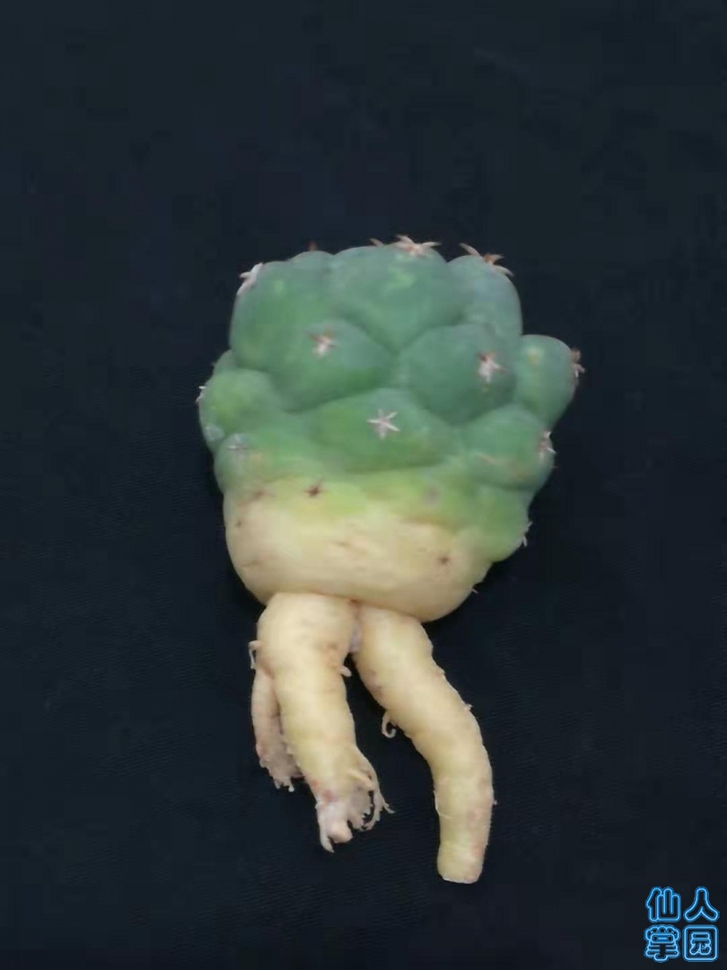 ΢ͼƬ_20190726085641.jpg