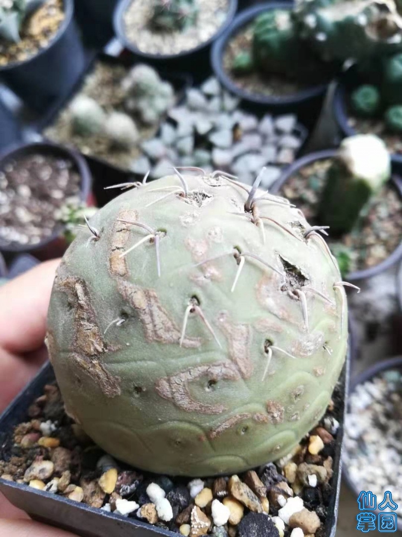 ΢ͼƬ_20190726091737.jpg