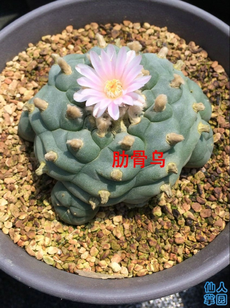 QQͼƬ20190516201046.jpg