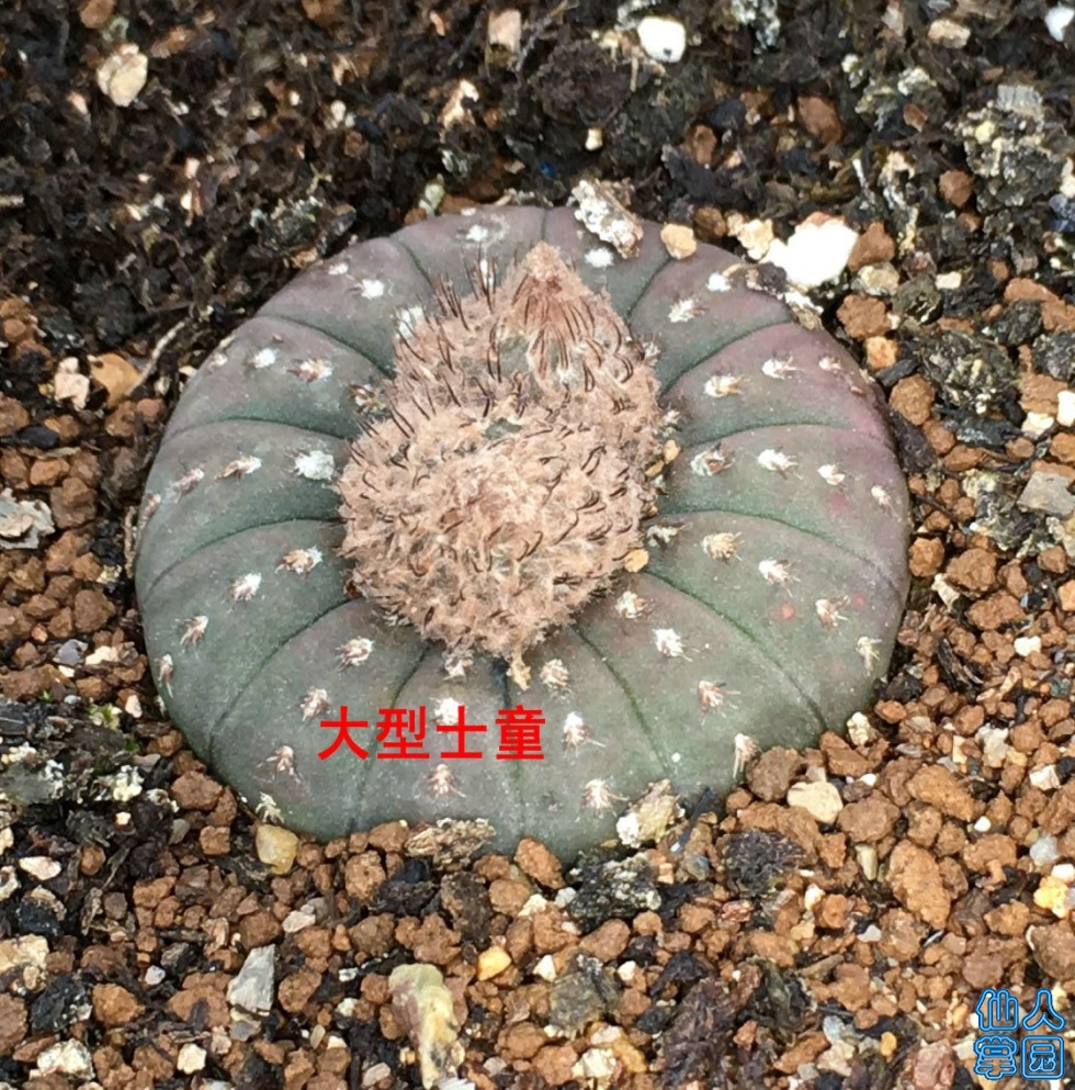 QQͼƬ20190608091648.jpg