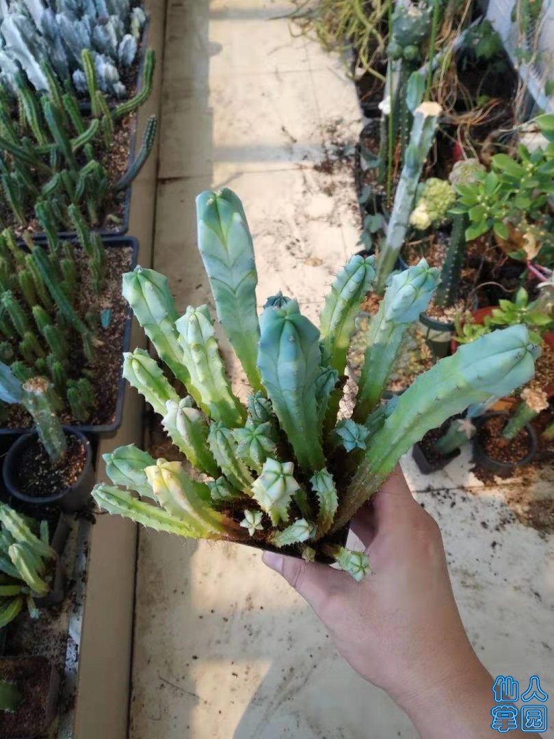 ΢ͼƬ_20190808105359.jpg