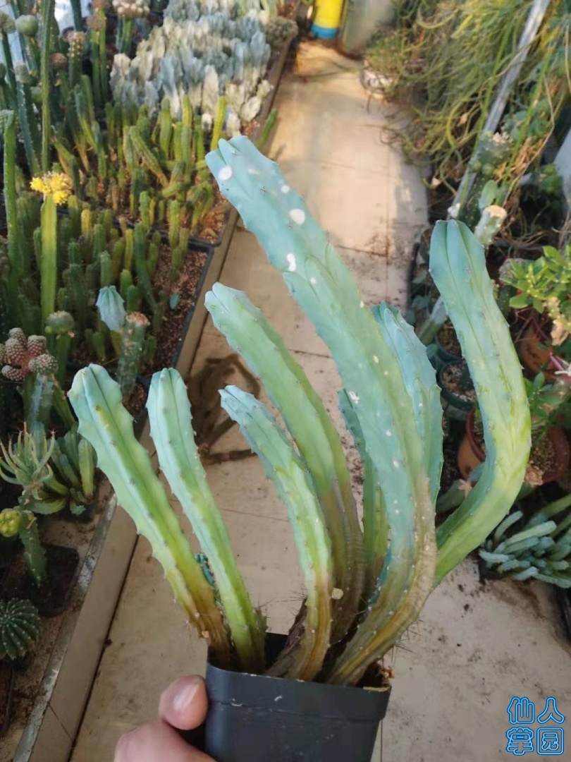 ΢ͼƬ_20190808105423.jpg