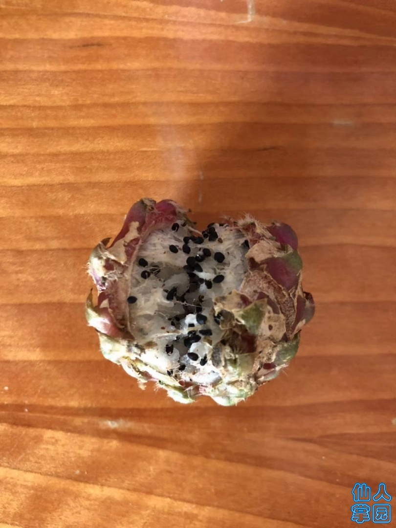 ΢ͼƬ_20190830100032.jpg