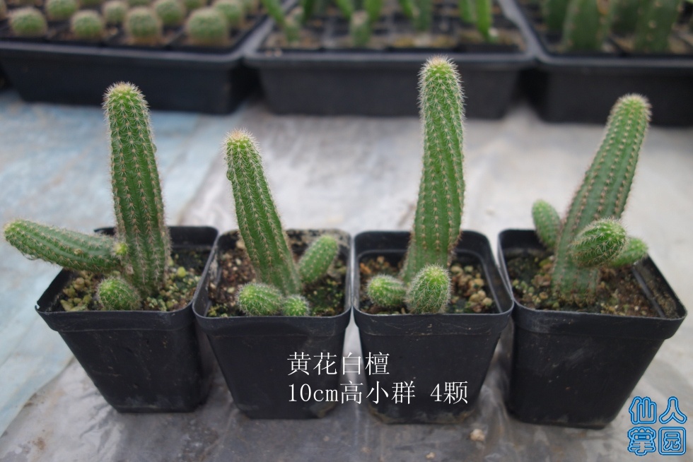 DSC01946_.jpg