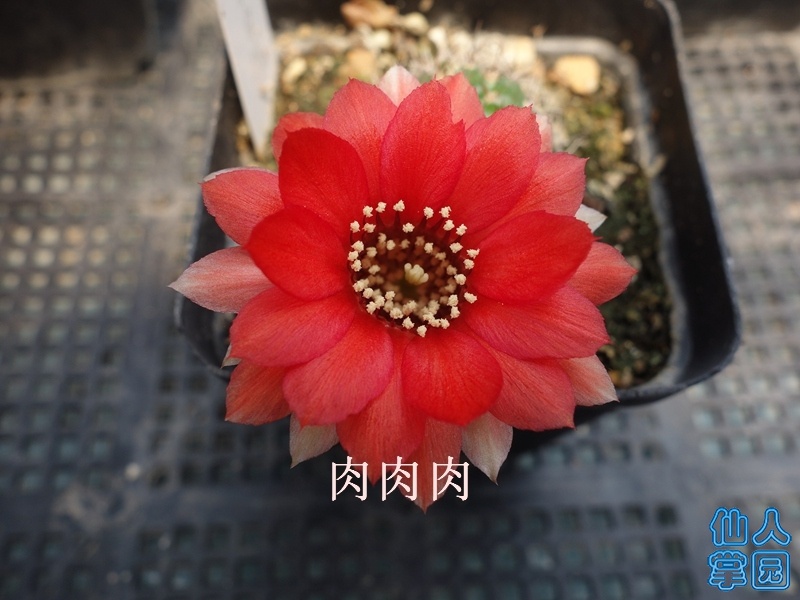 컨ں̴05.jpg