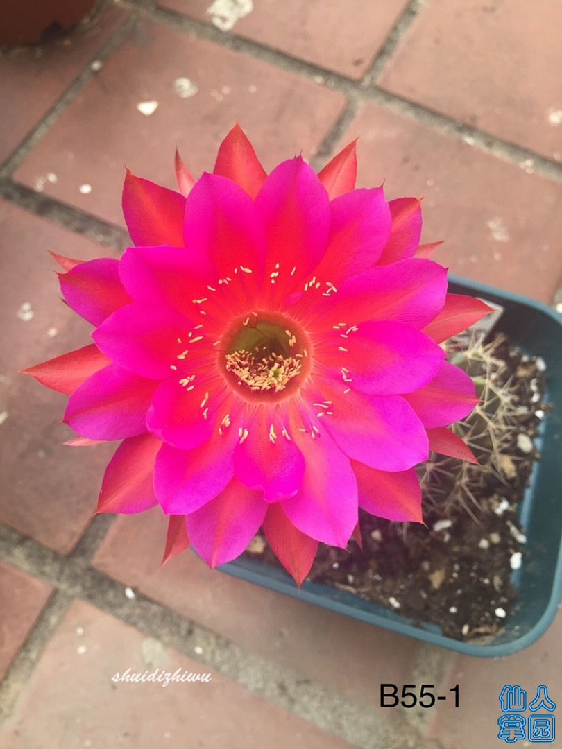 QQͼƬ20190911212112.jpg