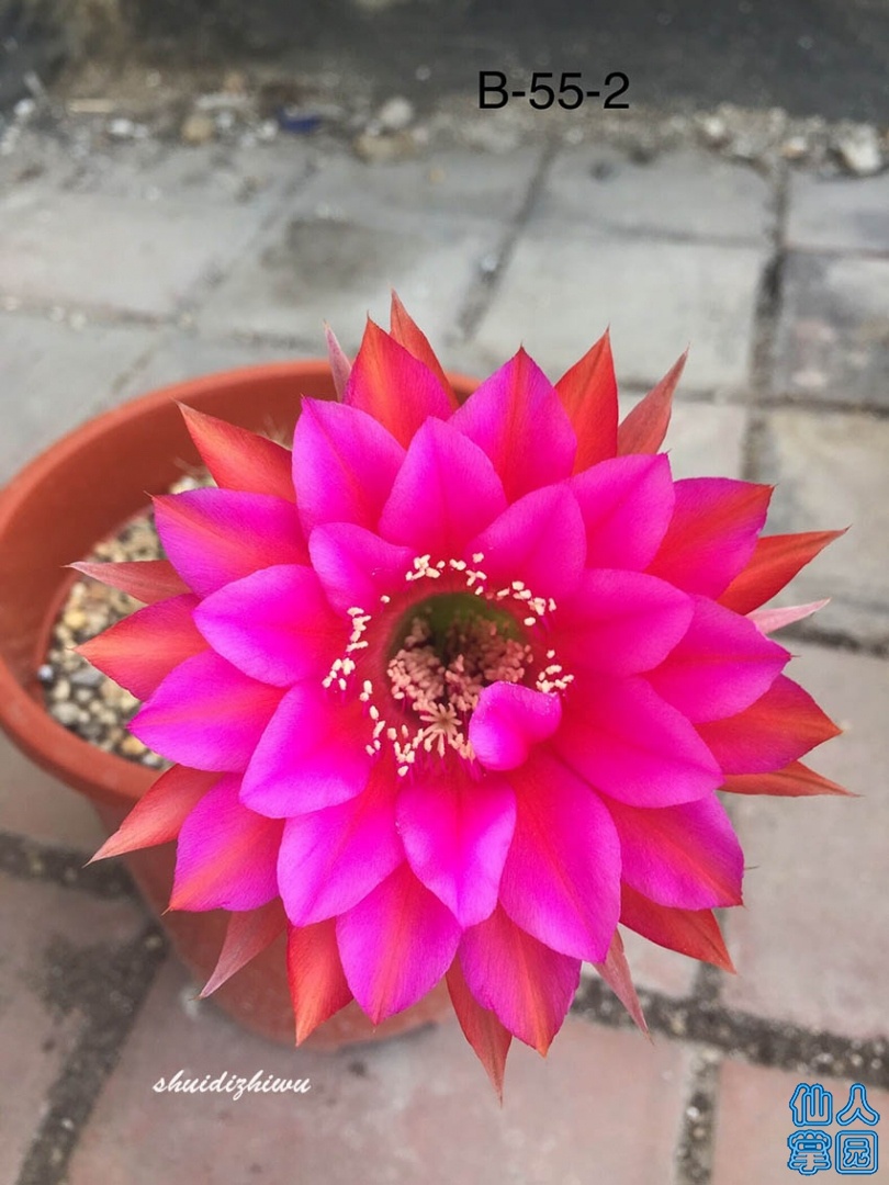 QQͼƬ20190911212127.jpg