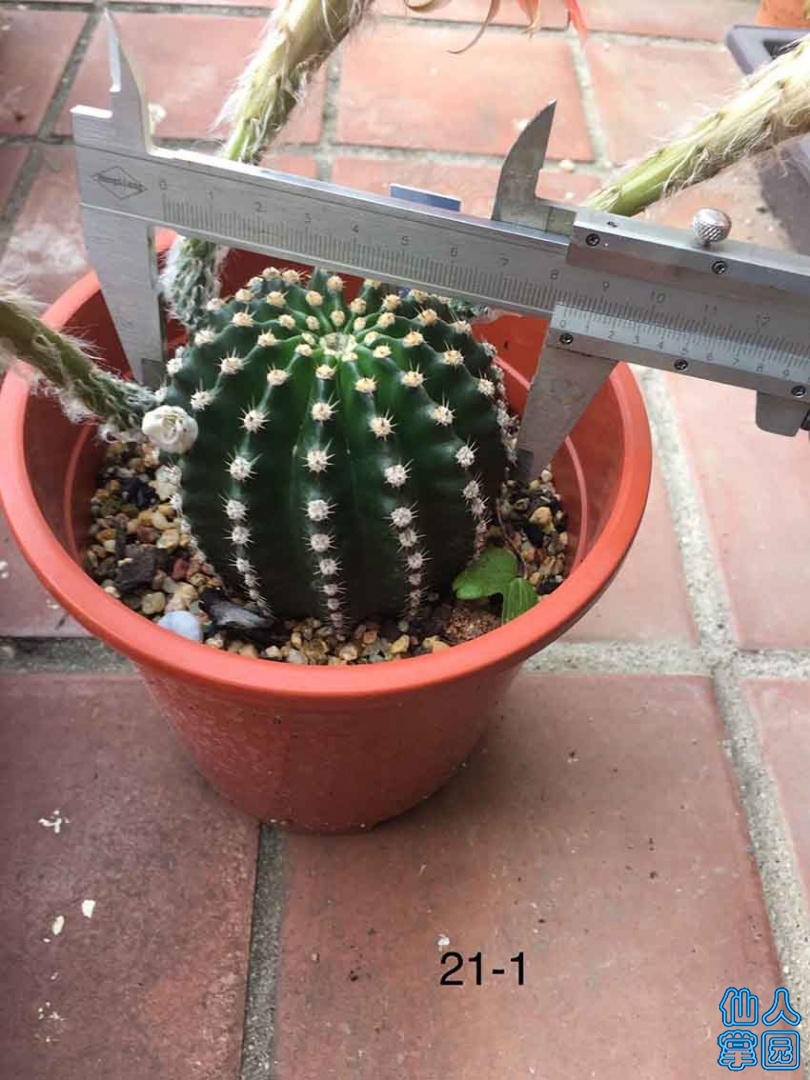 QQͼƬ20190914212946.jpg