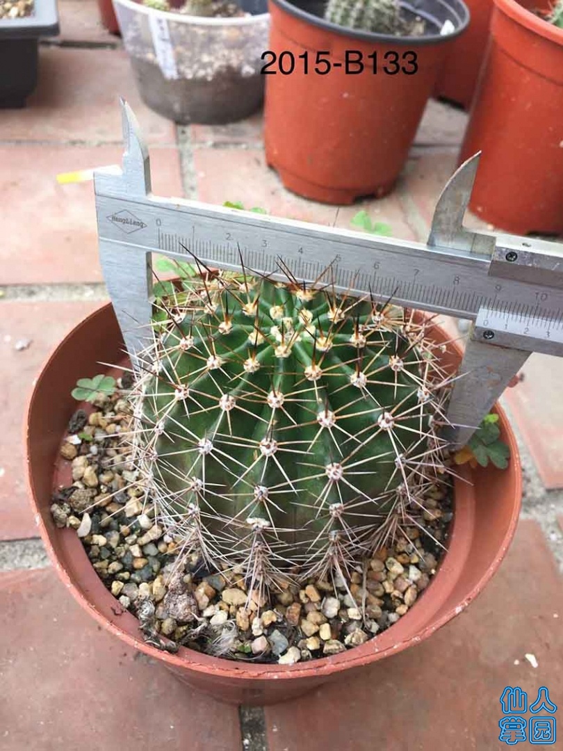 QQͼƬ20190916200427.jpg