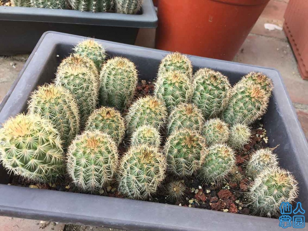 QQͼƬ20190916200515.jpg