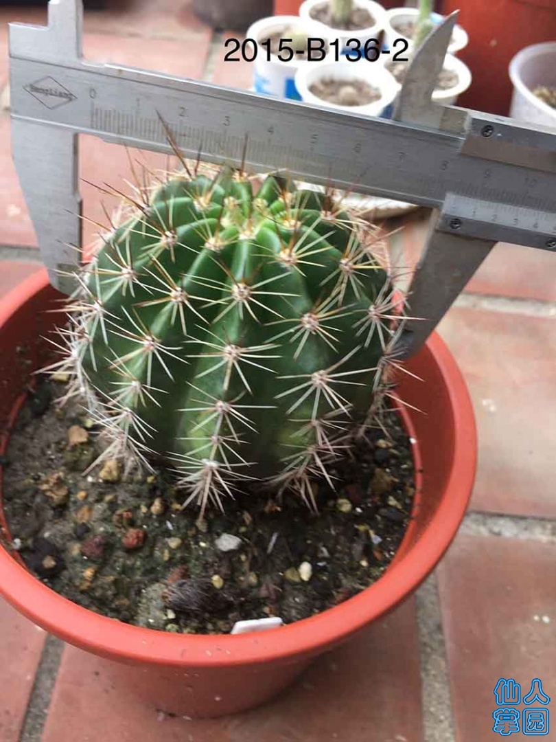 QQͼƬ20190916203220.jpg