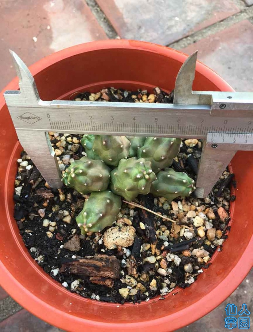QQͼƬ20190914212905.jpg